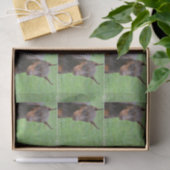 DobermannPinscher Seidenpapier (Geschenk)