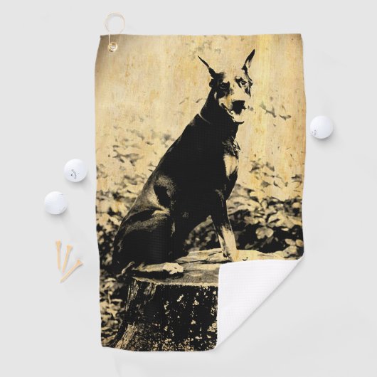 Dobermannpinscher-Vintages altes Foto Golfhandtuch (Insitu)