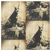 Dobermannpinscher-Vintages altes Foto Stoff (Nahaufnahme)