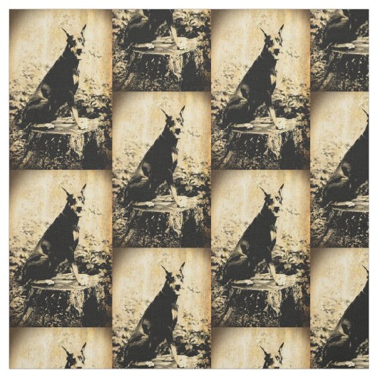 Dobermannpinscher-Vintages altes Foto Stoff (Muster)