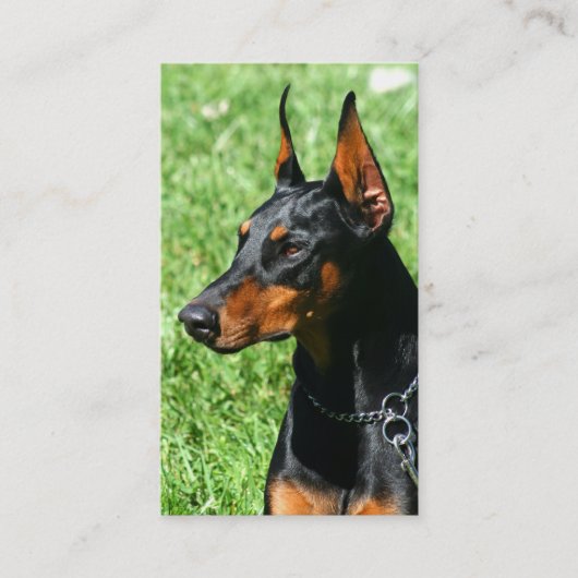 Dobermannpinscher-Visitenkarten Visitenkarte (Vorderseite)