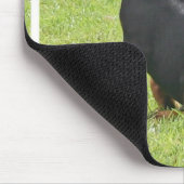 Dobermannpinscher-Welpen-Mausunterlage Mousepad (Ecke)