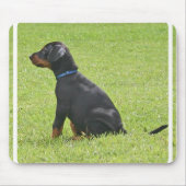 Dobermannpinscher-Welpen-Mausunterlage Mousepad (Vorne)