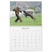 Dobermannschutzkalender Kalender (Mär 2027)