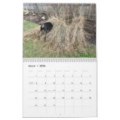 Dobermantalk-Kalender 2021 Kalender (Mär 2026)