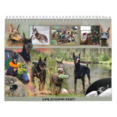 Dobermantalk-Kalender 2021 Kalender (Titelbild)