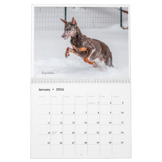 Dobermantalk-Kalender 2021 Kalender (Jan 2026)