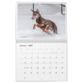 Dobermantalk-Kalender 2021 Kalender (Jan 2027)