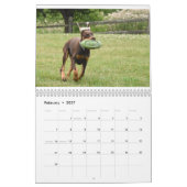 Dobermantalk-Kalender 2021 Kalender (Feb 2027)