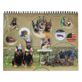 Dobermantalk-Kalender 2022 Kalender (Titelbild)