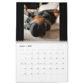 Dobermantalk-Kalender 2023 Kalender (Mär 2027)