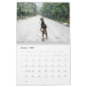 Dobermantalk-Kalender 2023 Kalender (Jan 2027)