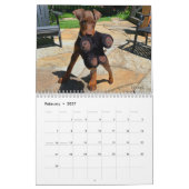 Dobermantalk-Kalender 2023 Kalender (Feb 2027)