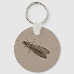 Dobsonflyfliegeninsekt Sepia Schlüsselanhänger