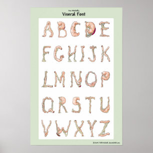 Doc. Mitchells Viseral Guss Poster