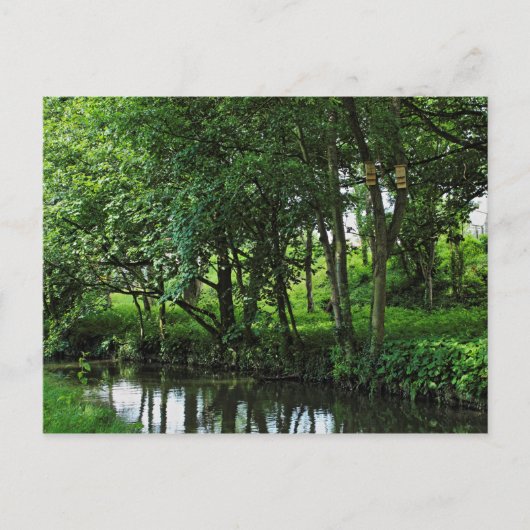 Dock Feeder Canal, Bute Park, Cardiff, Wales. Postkarte (Vorderseite)