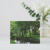Dock Feeder Canal, Bute Park, Cardiff, Wales. Postkarte (Stehend Vorderseite)