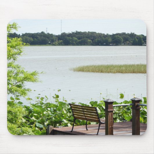 Dock on Lake Hollingsworth Mousepad (Vorne)