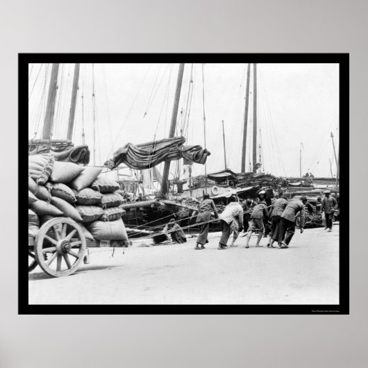 Dock Workers in Hongkong 1908 Poster (Vorne)