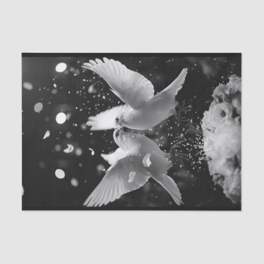 Docks Fly9 Seidenpapier (Vorderseite)