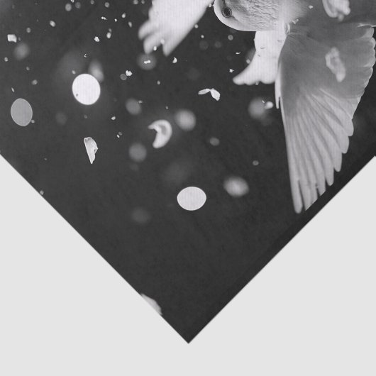 Docks Fly9 Seidenpapier (Ausschnitt)