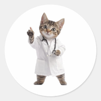Doctor Cat Runder Aufkleber