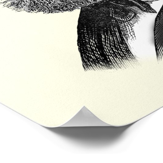 Doctor Octopus Poster (Ecke)