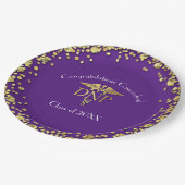 Doctor of Nursing Practice Graduation Purple Gold Pappteller (Schrägansicht)