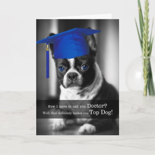 Doctor or Phd Graduate Cute Boston Terrier Dog Karte (Vorderseite)