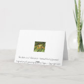 Doctorbird - nationaler Vogel von Jamaika Karte (Rückseite)