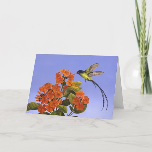 Doctorbird - nationaler Vogel von Jamaika Karte (Vorderseite)