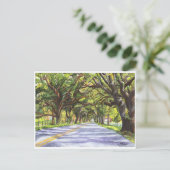 Docville Oaks Postkarte (Stehend Vorderseite)