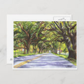 Docville Oaks Postkarte (Vorne/Hinten)