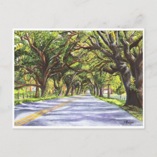 Docville Oaks Postkarte (Vorderseite)