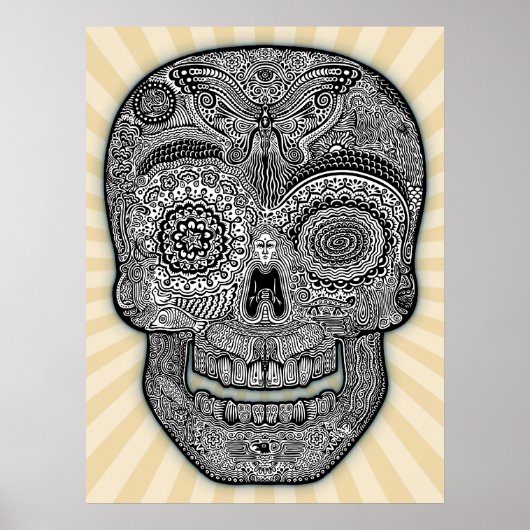 DoD Sk511-bw Poster (Vorne)