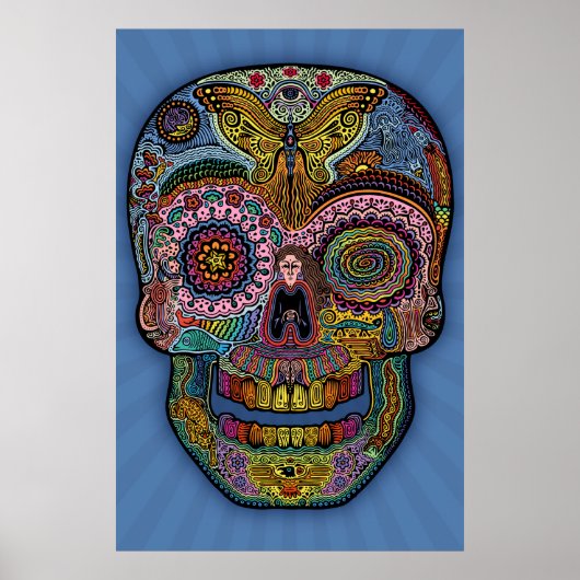 Dod Sk511 - Farbe Poster (Vorne)