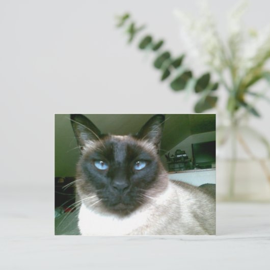 Dodblau Postkarte (Stehend Vorderseite)