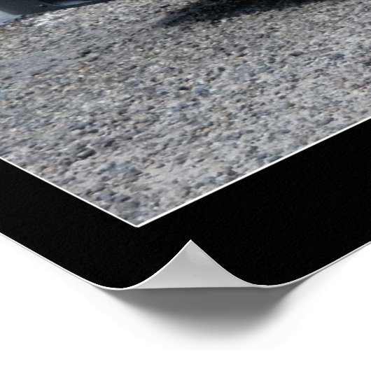 DODGE #144 POSTER (Ecke)