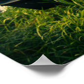 Dodge-Ladegerät 1966 Poster (Ecke)