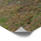 Dodge-Ladegerät 1968 Poster (Ecke)