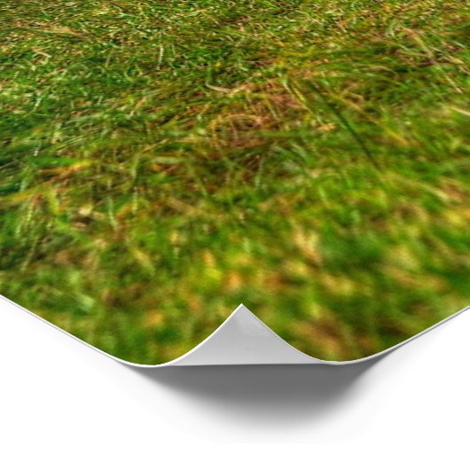 Dodge-Ladegerät 1970 Poster (Ecke)