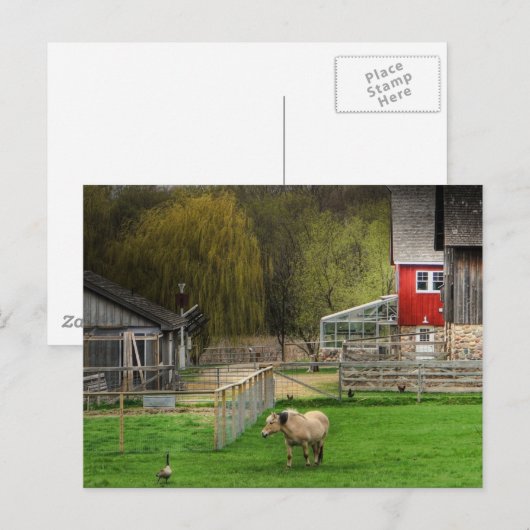 Dodge Nature Centre Postkarte (Vorne/Hinten)