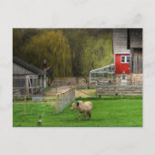 Dodge Nature Centre Postkarte (Vorderseite)