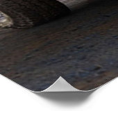 Dodge Ram 1500 TRX Poster (Ecke)