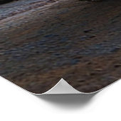 Dodge Ram 1500 TRX Poster (Ecke)