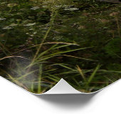 Dodge WC 57 Poster (Ecke)