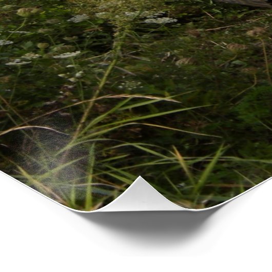 Dodge WC 57 Poster (Ecke)