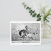 Dodo Art Postkarte (Stehend Vorderseite)