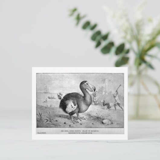 Dodo Art Postkarte (Stehend Vorderseite)