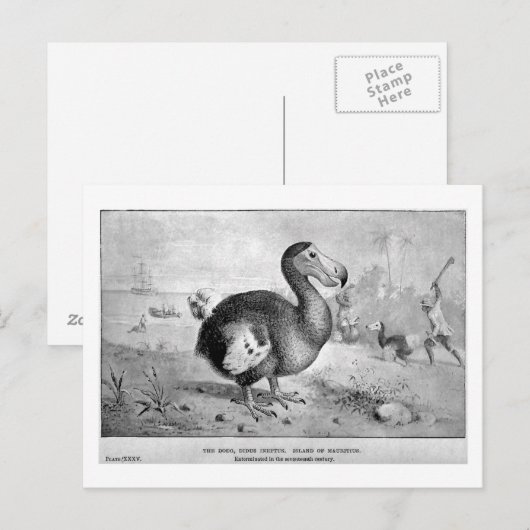 Dodo Art Postkarte (Vorne/Hinten)